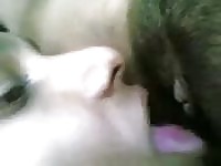 Man licks hairy pussy