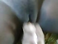Feeding busty Brazilian pussy