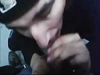 A real amateur cock sucking