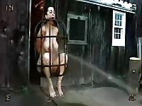 Salope à gros seins BDSM punie
