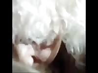 Una competizione fra nonne bone